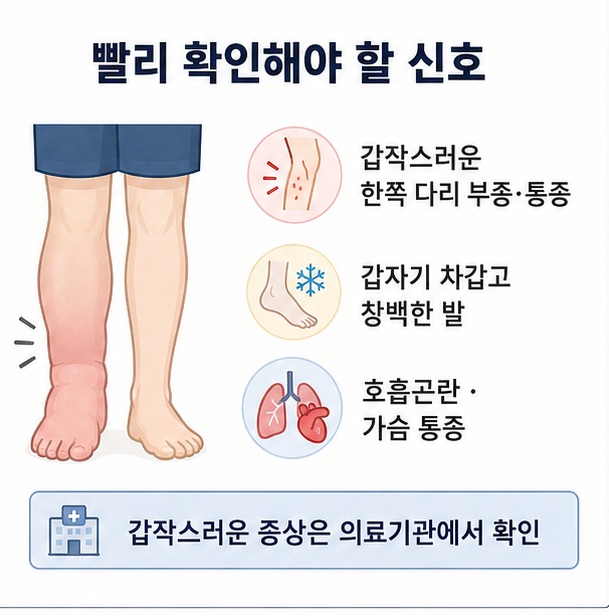 갑작스러운 한쪽 다리 부종과 통증, 차갑고 창백한 발, 호흡곤란과 가슴 통증처럼 빠른 진료가 필요한 신호를 정리한 이미지