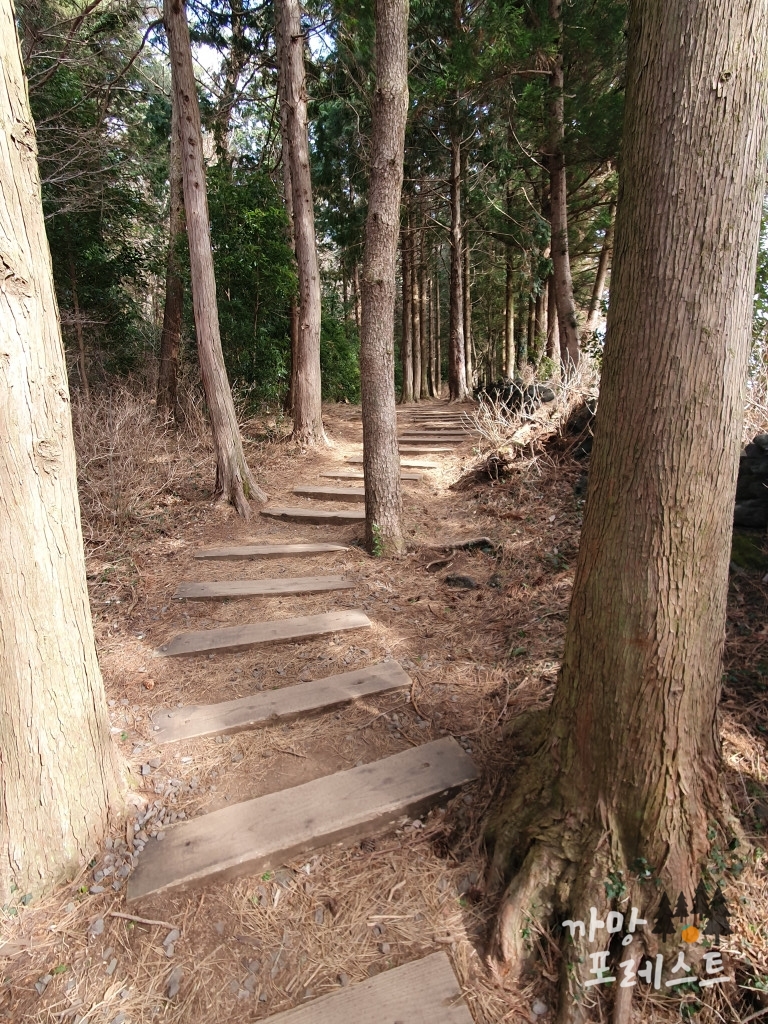 물영아리 오름 탐방로