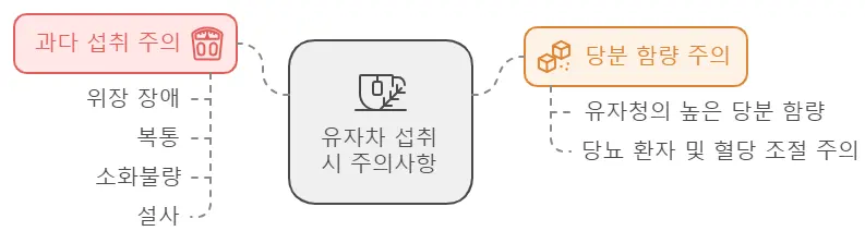 유자차 섭취 주의사항