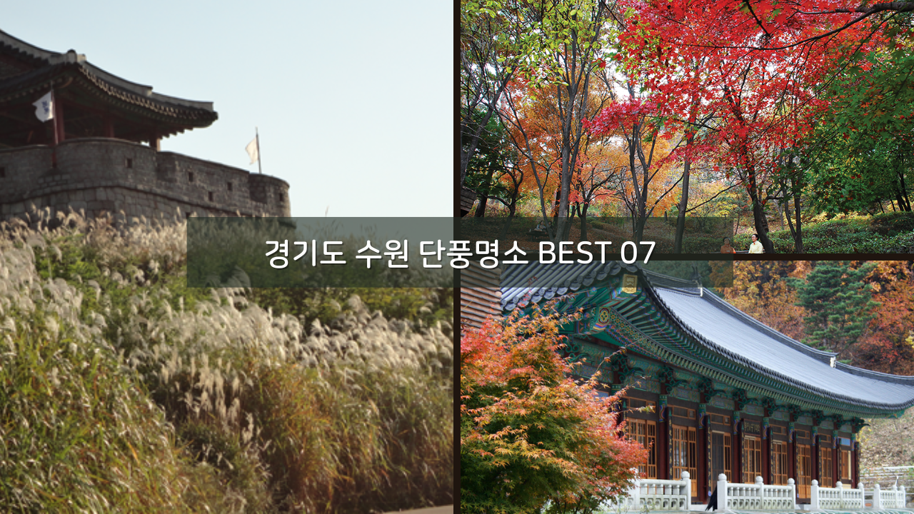 경기도 수원 단풍명소 BEST 07 가을 나들이 가볼만한곳