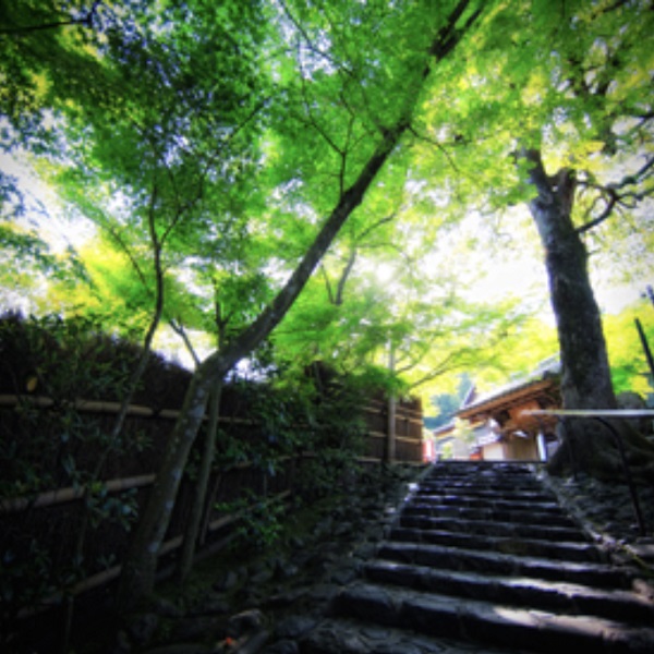 교토 여행 추천 명소 3. 교토시 니시쿄구(西京区) - 스즈모지(鈴虫寺)