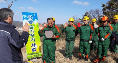 공공산림가꾸기사업