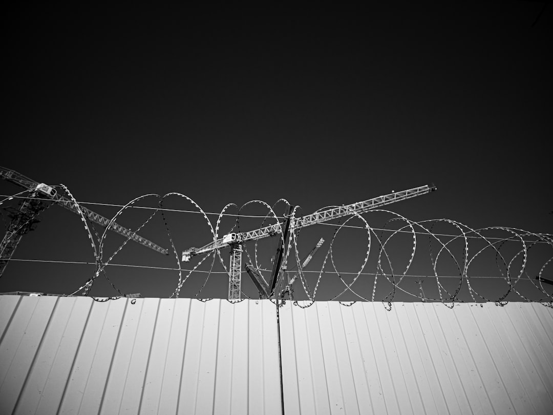 Amnesty