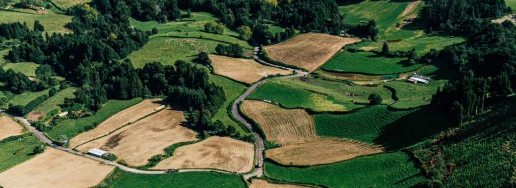 도로와 접하지 않은 토지는 맹지