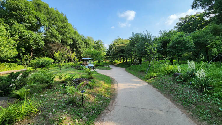 식물진화속을 걷는정원-1