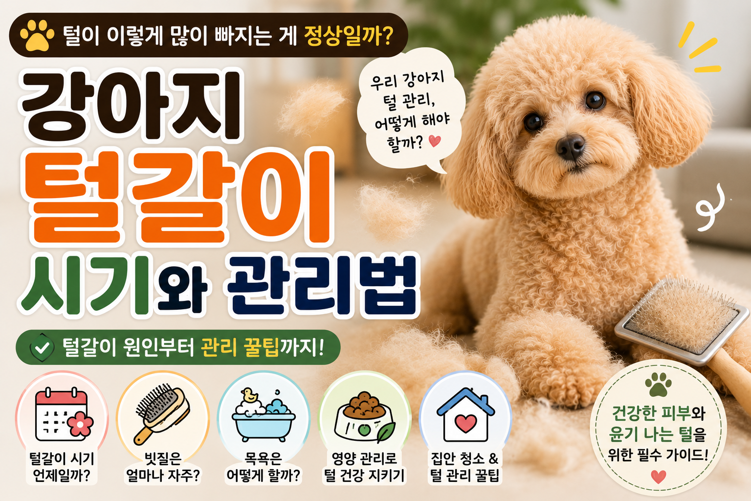 강아지 털갈이 시기와 관리법|털 빠짐이 심한 이유와 효과적인 관리 방법
