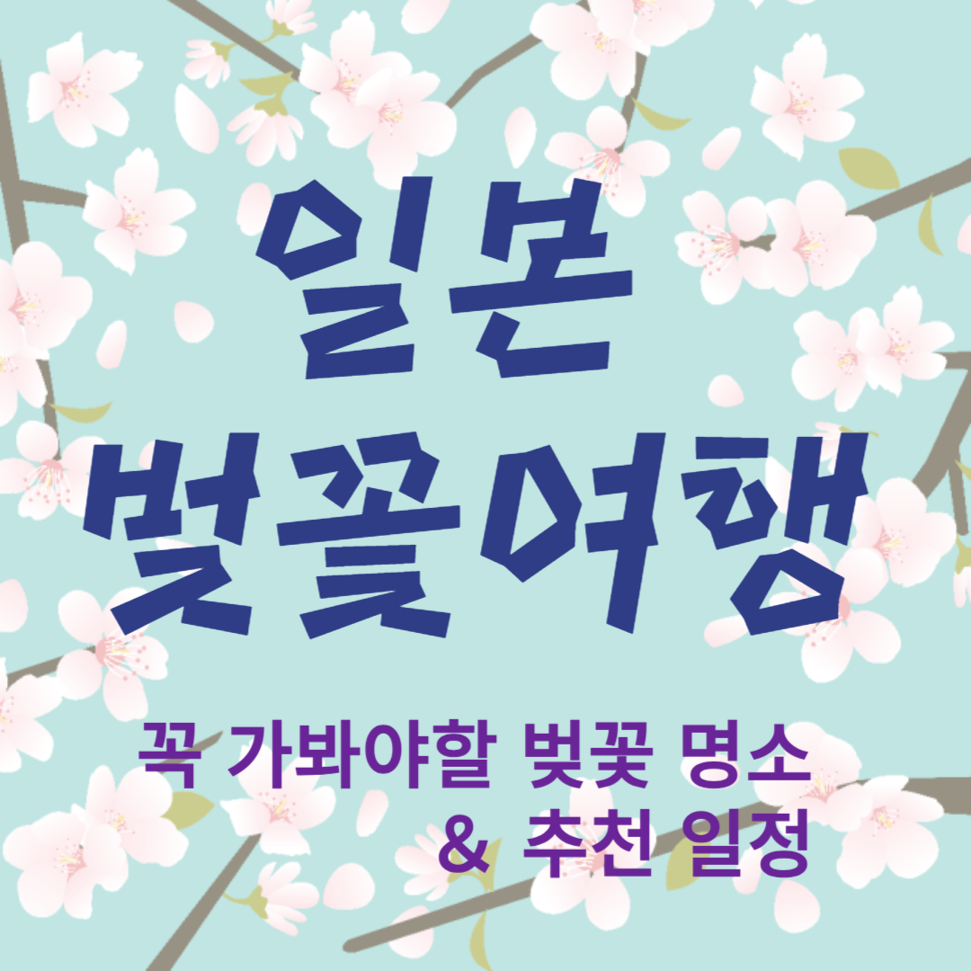 일본 벚꽃 여행 가이드