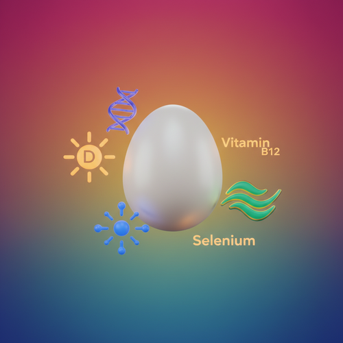 고지혈증과 계란&amp;#44; 자주 묻는 질문 (FAQ)