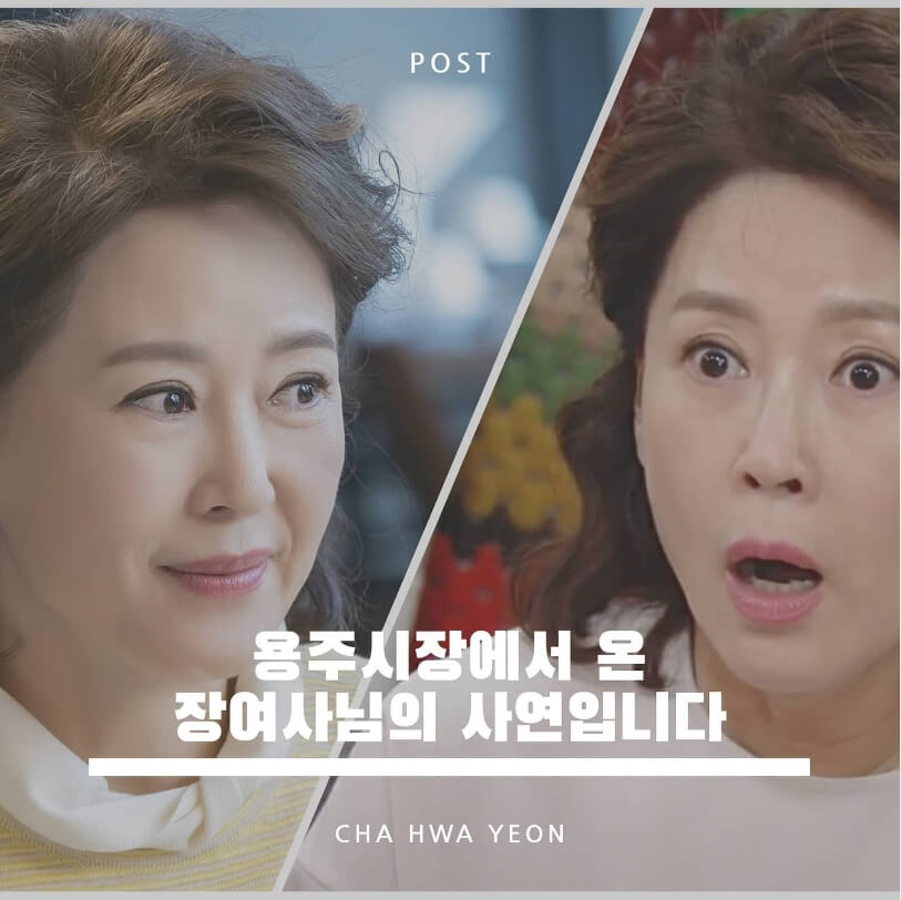 차화연