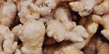 생강 효능, 활용법, 섭취 시 주의사항 총 정리 (2025 최신)