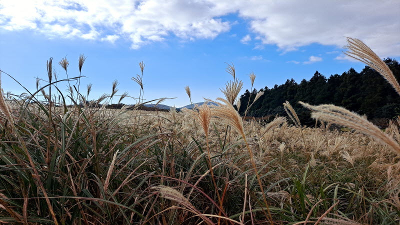 제주여행_산굼부리