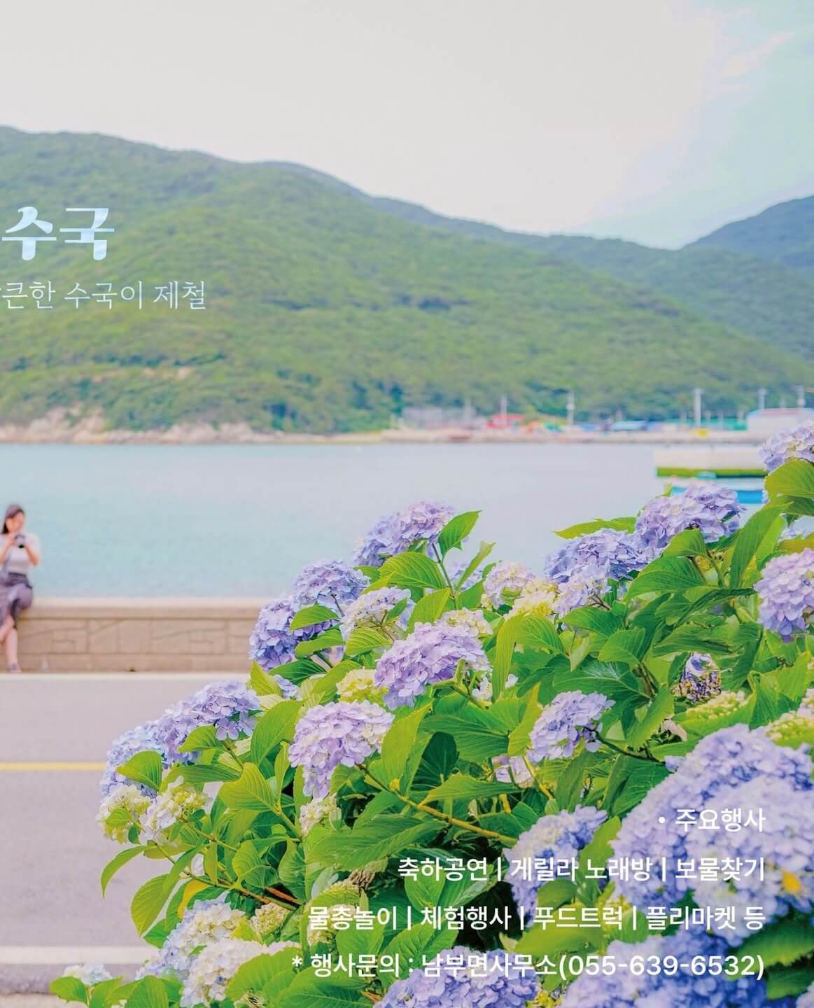 거제 저구항 수국축제