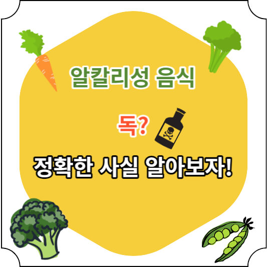 알칼리성 음식