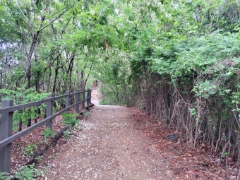 365 서울챌린지 1기 참여혜택&middot;신청방법 총정리