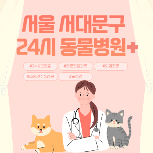 서울 서대문구 24시 동물병원