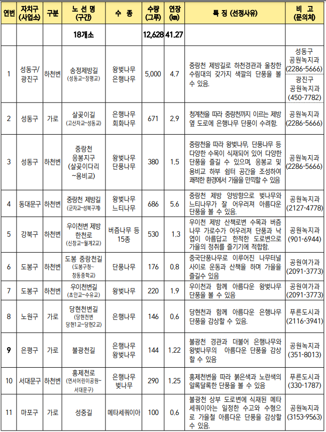 서울 단풍길 99선 소개