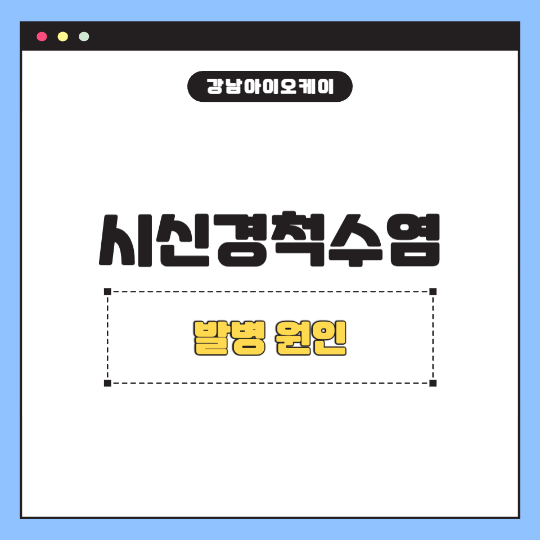 시신경척수염