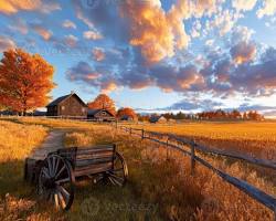 농지연금 관련사진