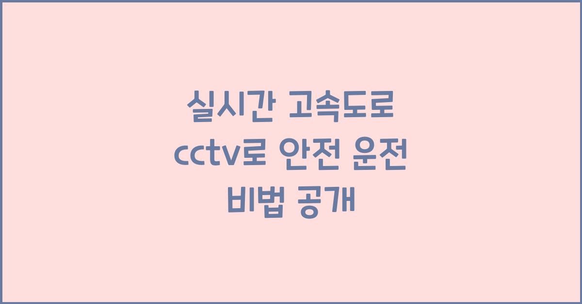 실시간 고속도로 cctv