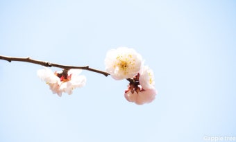 skt 가족결합할인