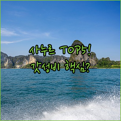 발리 사누르 숙소 5곳 신축 가성비 ..