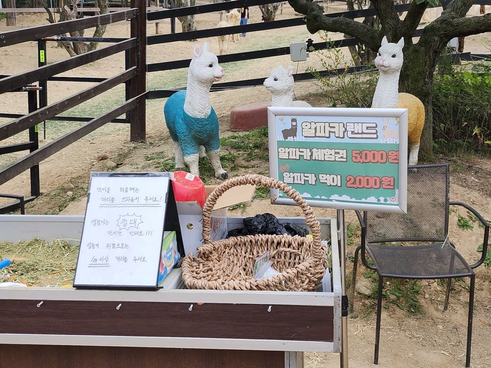 알파카 랜드