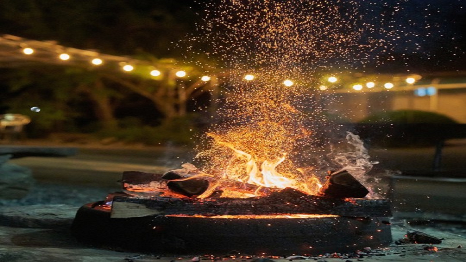 영월군 무릉도원 캠핑장 예약 바로가기