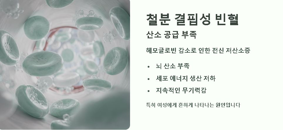 잠이 계속 오는 이유