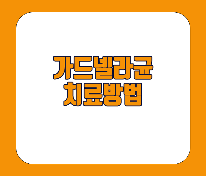 가드넬라균 치료방법 - 항생제 치료, 프로바이오틱스 섭취, 면역력 강화등