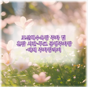 표선해수욕장 주차 팁 혼잡 시간&middot;무료 공영주차장&middot;대체 주차장까지