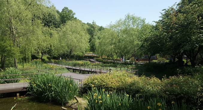 온수도시자연공원(잣절공원) 이미지