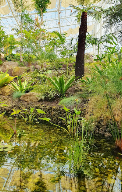 일월수목원 온실