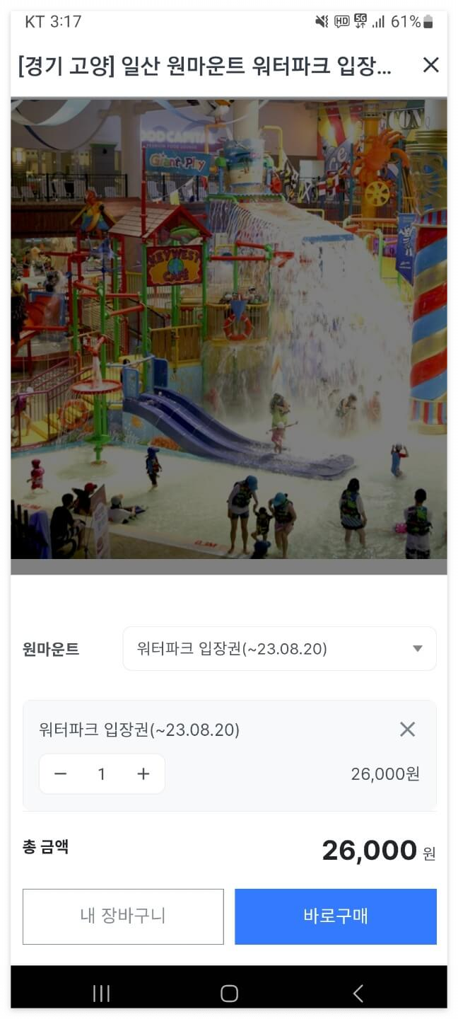 원마운트 워터파크 할인권 구매