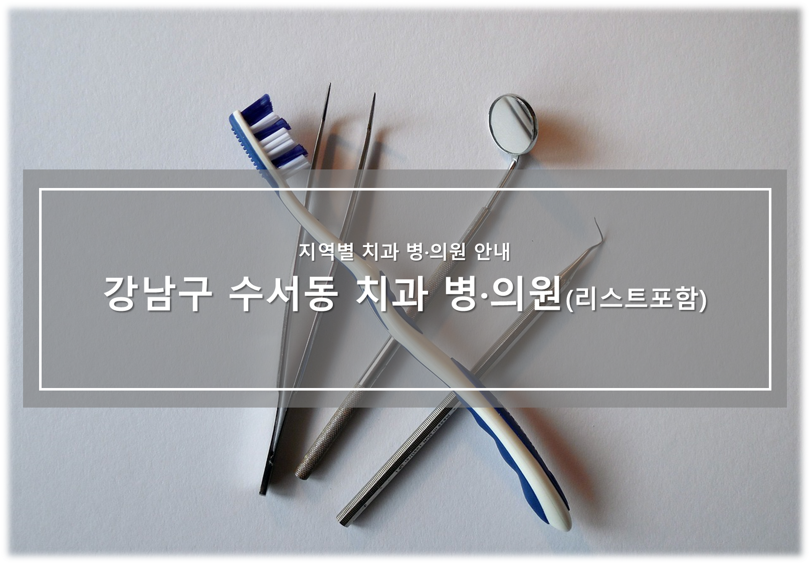 강남구 수서동 치과 병의원 안내