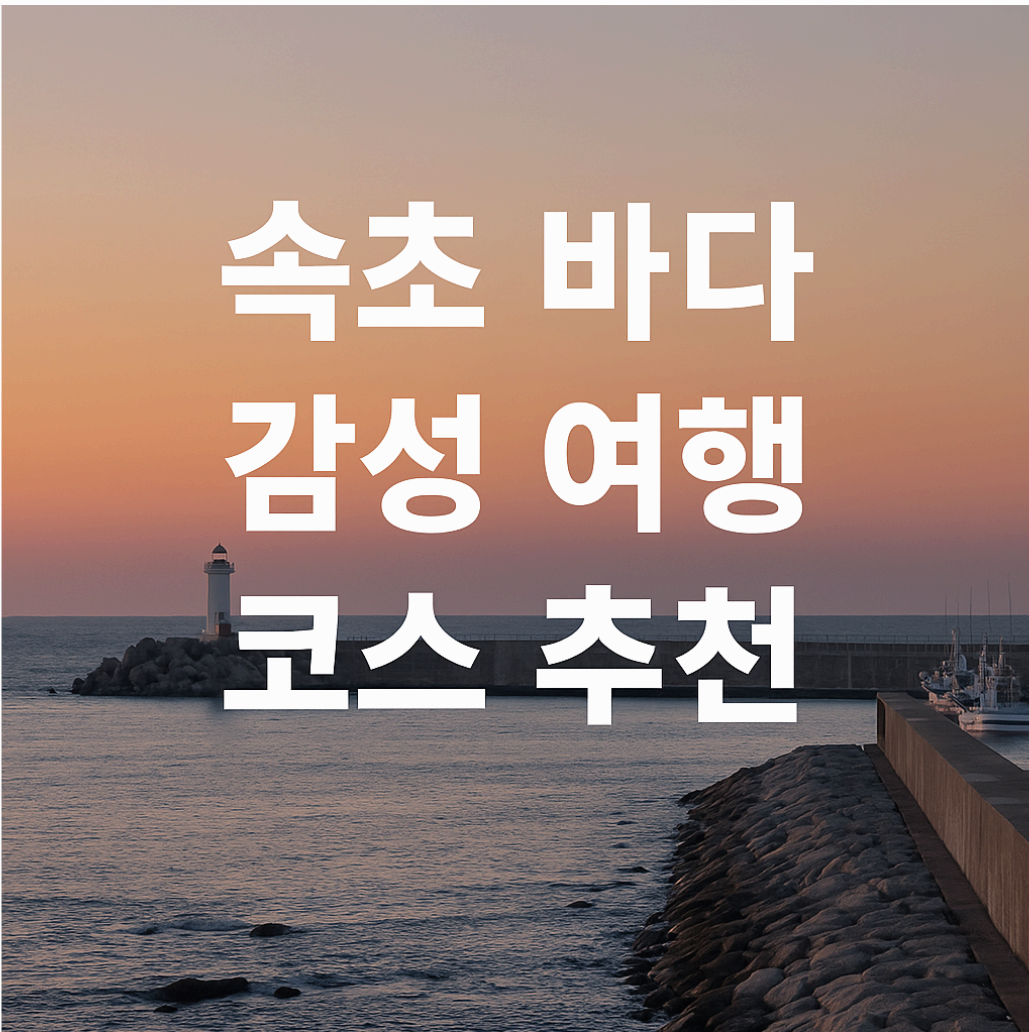 속초 등대전망대·영금정·동명항 회센터까지 한 번에! 속초 바다 감성 여행 코스 추천