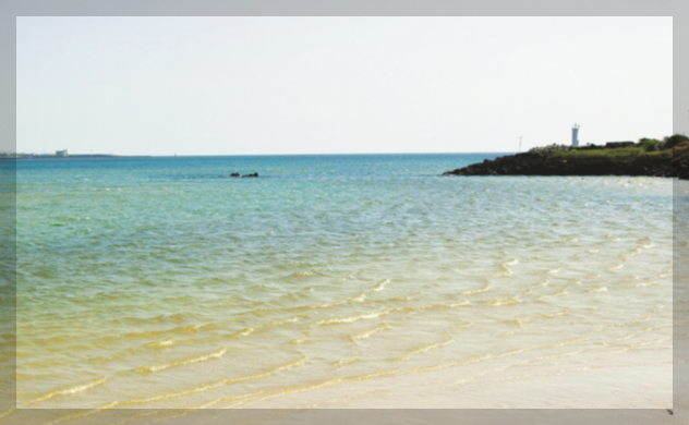 [한강 작별하지 않는다] 소설 작별하지 않는다 배경 의미 비하인드 스토리 악동뮤지션