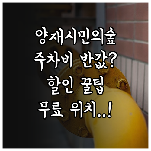 양재시민의숲 주차 요금 할인 방법 및..