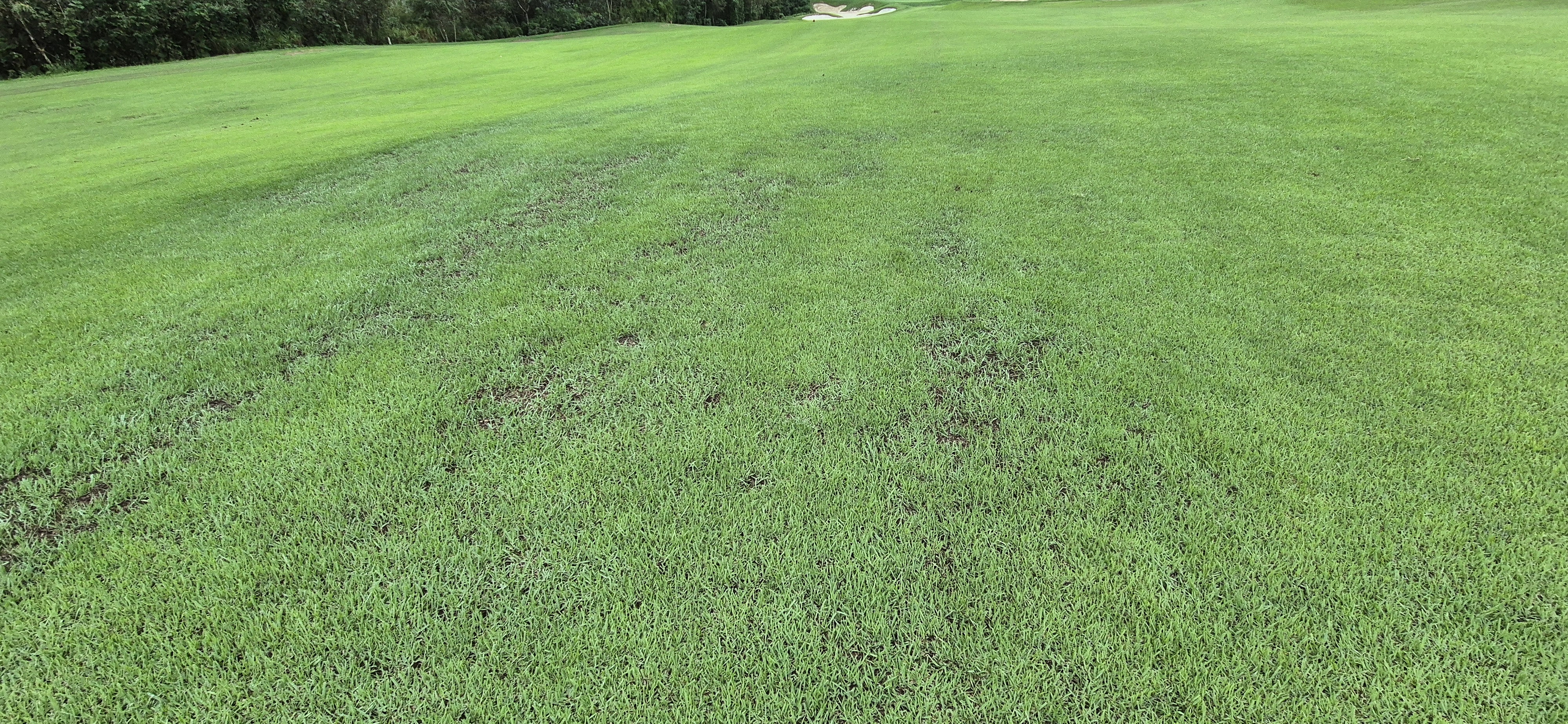 더플레이어스cc