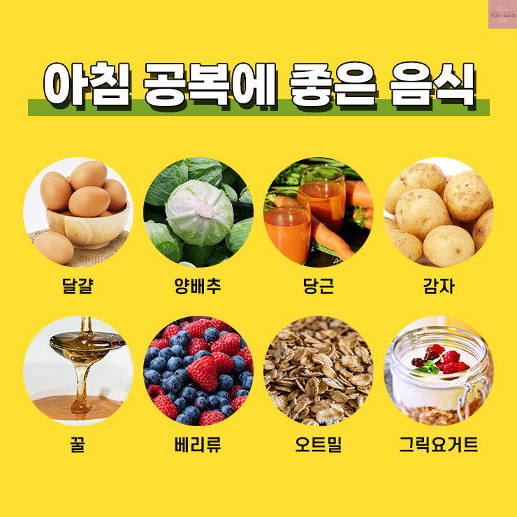 아침 공복에 좋은 음식