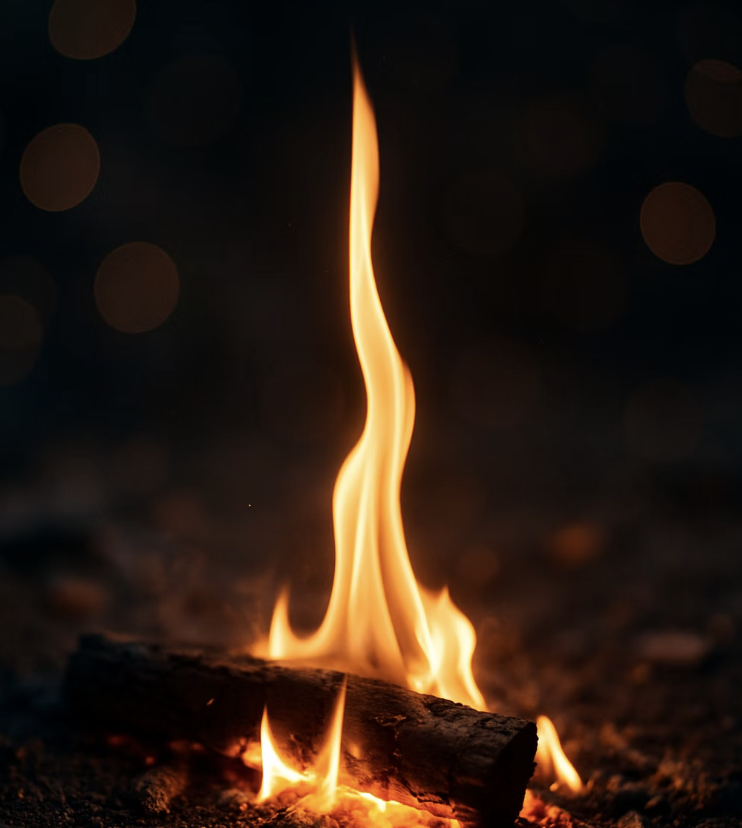 흥미의 불씨를 지켜주세요