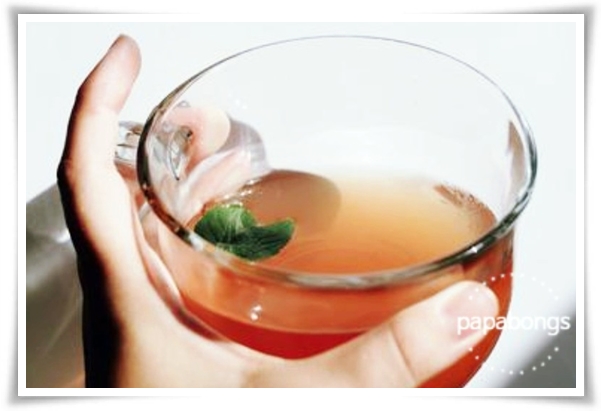 텃밭 "6월, 매실 수확하세요!" 초록빛 활력의 싱그러운 여름의 맛 매실!