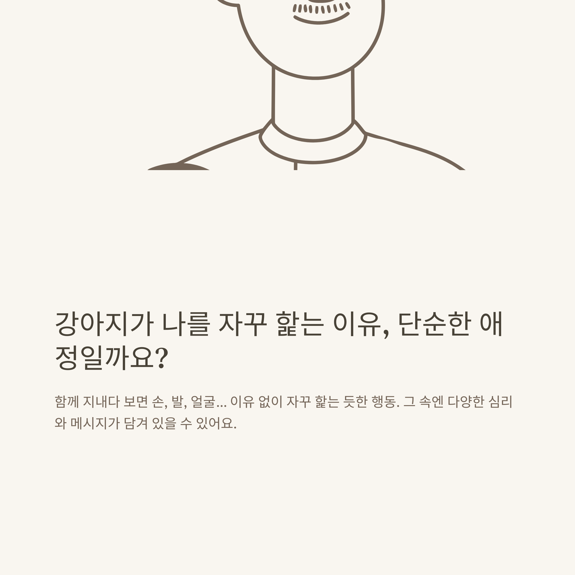 강아지가 핥는이유, 발·손·얼굴·주인 핥기의 심리와 보호자 경험으로 정리