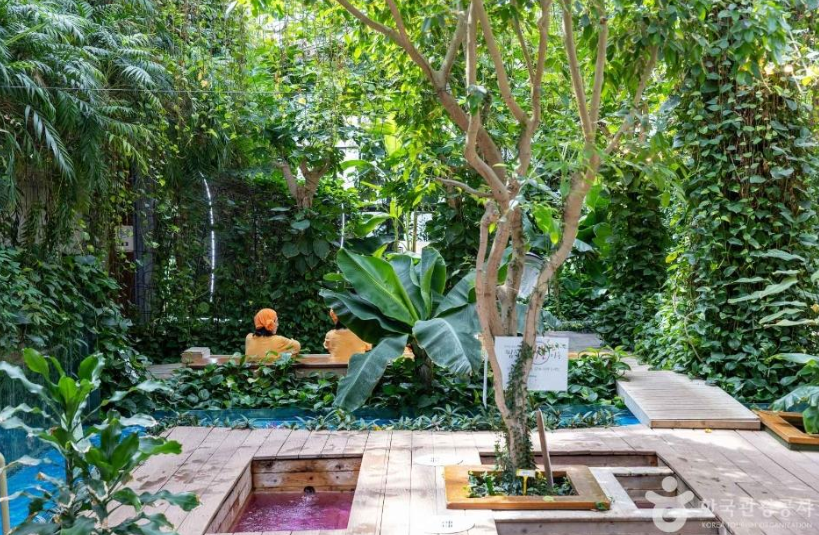 미리네 힐링클럽