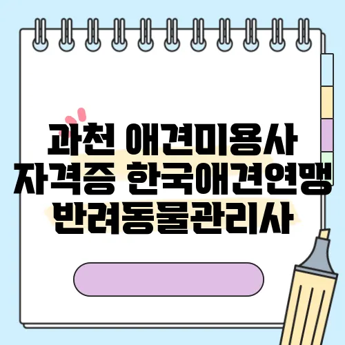 과천 애견미용사 자격증 한국애견연맹 반려동물관리사
