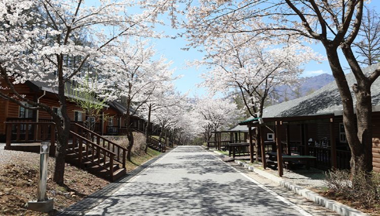 연인산 다목적캠핑장