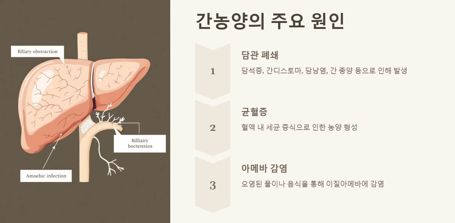 간농양 증상 치료