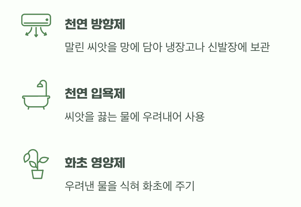 씨앗의 화려한 변신, 버리지 마세요