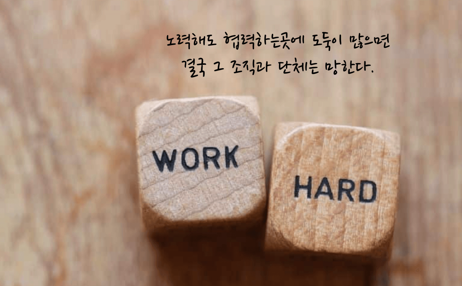팩트