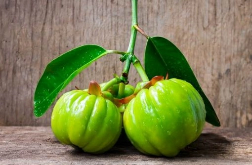 가르시니아 hca 효과 4가지