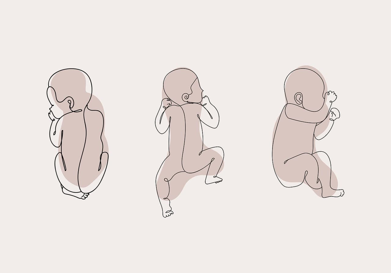 출생과 신생아기